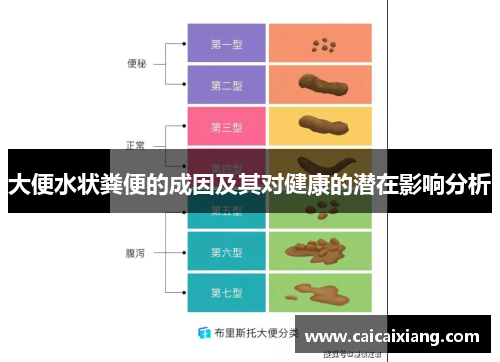 大便水状粪便的成因及其对健康的潜在影响分析